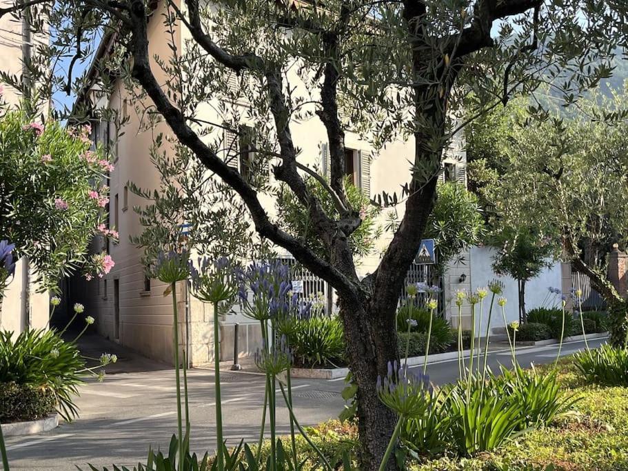 La Piccola Casa Al Lago - Intera Casa Con 3 Camere E 2 Box Salò Εξωτερικό φωτογραφία